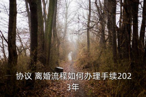  協(xié)議 離婚流程如何辦理手續(xù)2023年