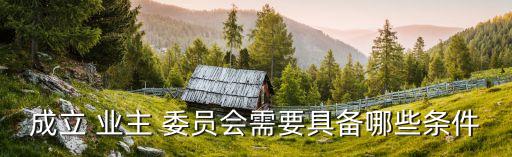 成立 業(yè)主 委員會需要具備哪些條件