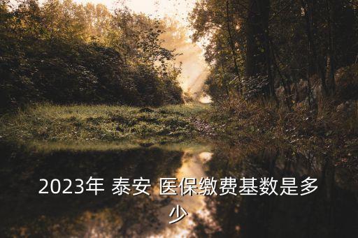 泰安醫(yī)保