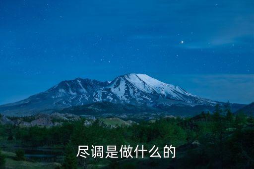 盡職調(diào)查是什么意思,銀行對(duì)個(gè)人盡職調(diào)查是什么意思