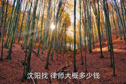 沈陽律師事務(wù)所咨詢免費(fèi),沈陽法律援助中心24小時(shí)熱線