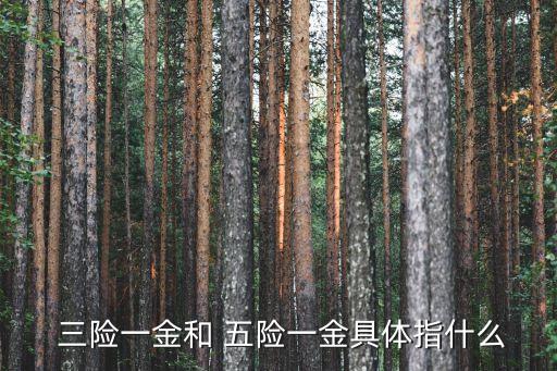 三險(xiǎn)和五險(xiǎn)有什么區(qū)別,公司交三險(xiǎn)和五險(xiǎn)有什么區(qū)別