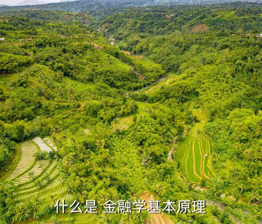 什么是 金融學基本原理