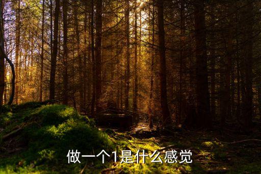 做1是什么意思,0和1哪個最舒服