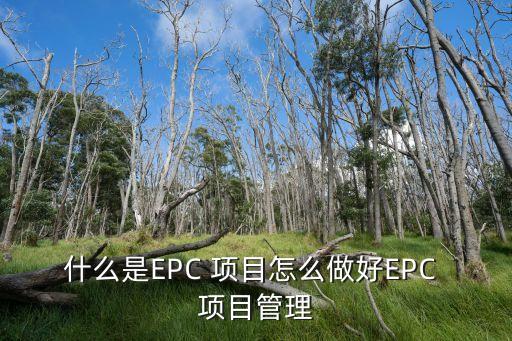 epc項目是什么意思,ppp項目是什么意思