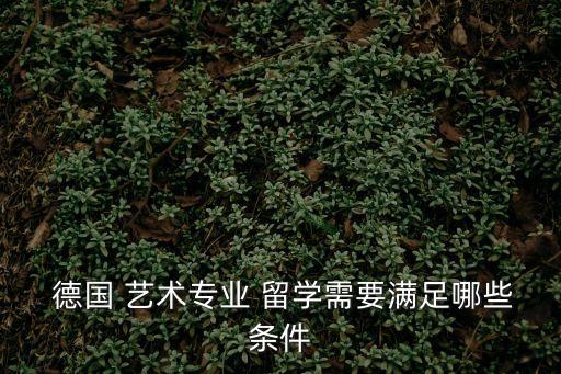  德國(guó) 藝術(shù)專(zhuān)業(yè) 留學(xué)需要滿足哪些條件