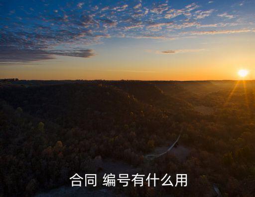 如何看懂法律合同編號(hào),合同章沒有編號(hào)有法律效果嗎