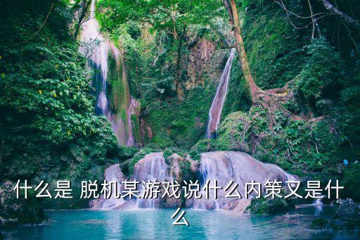 什么是 脫機(jī)某游戲說(shuō)什么內(nèi)策又是什么