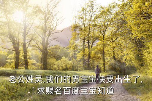 老公姓吳,我們的男寶寶快要出生了,求賜名百度寶寶知道