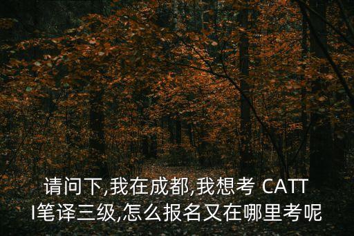 請問下,我在成都,我想考 CATTI筆譯三級,怎么報名又在哪里考呢