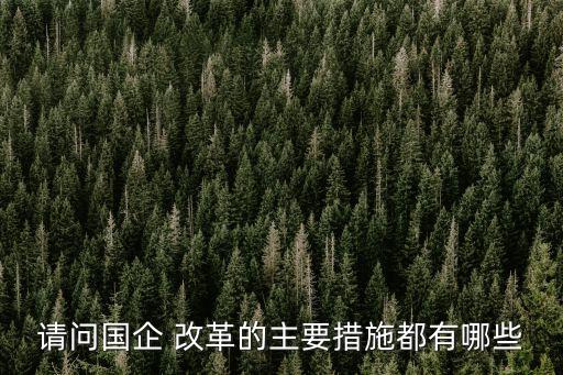 國有企業(yè)改革