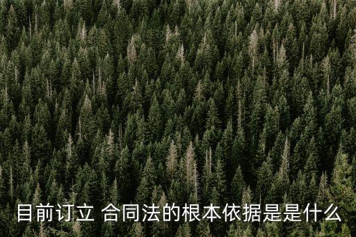 目前訂立 合同法的根本依據(jù)是是什么