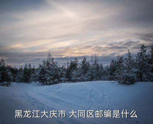 黑龍江大慶市 大同區(qū)郵編是什么