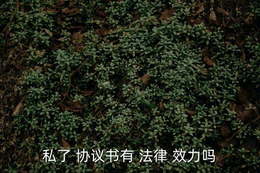 私人寫的協(xié)議書有法律效力嗎,私人協(xié)議書格式范文