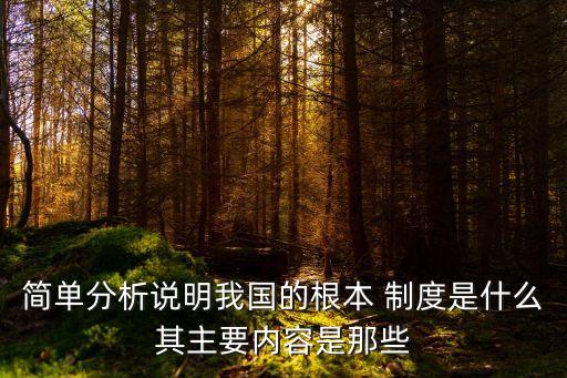 中國(guó)根本制度,我國(guó)基本政治制度