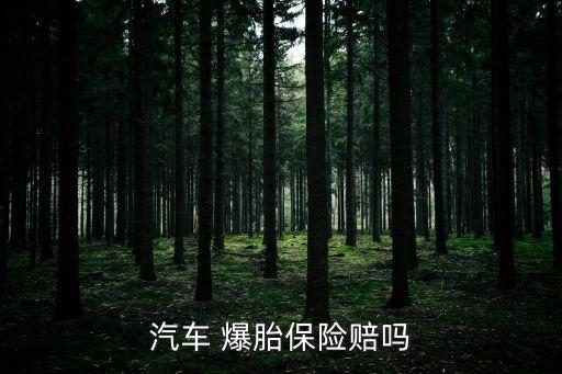 爆胎可以走保險(xiǎn)嗎,爆胎了打什么救援