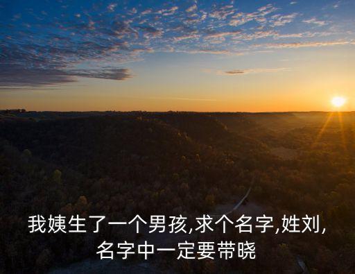 劉曉旭