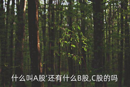 c股,刺股懸梁的故事