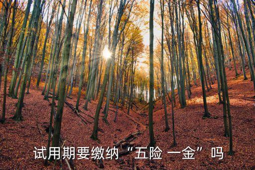  試用期要繳納“五險 一金”嗎
