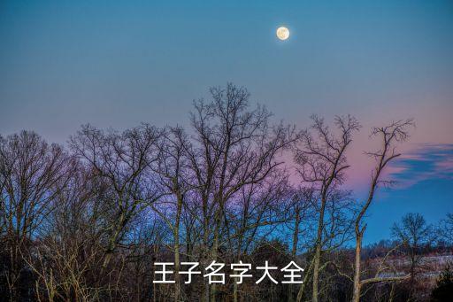 王子旋