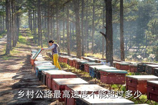 鄉(xiāng)村道路限速多少,沒有中心線的鄉(xiāng)村道路限速多少