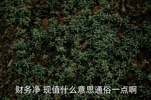  財務(wù)凈 現(xiàn)值什么意思通俗一點啊