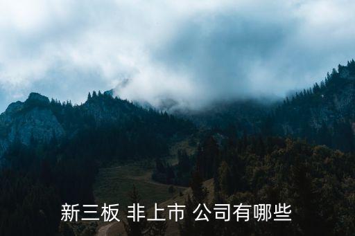 新三板 非上市 公司有哪些