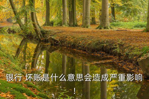 銀行 壞賬是什么意思會(huì)造成嚴(yán)重影響!