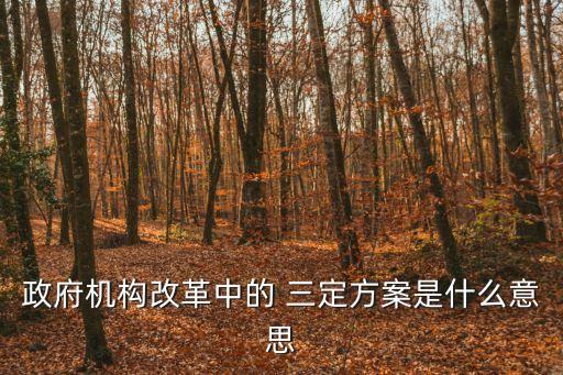 三定規(guī)定,事業(yè)單位三定規(guī)定