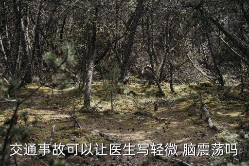 交通事故可以讓醫(yī)生寫輕微 腦震蕩嗎