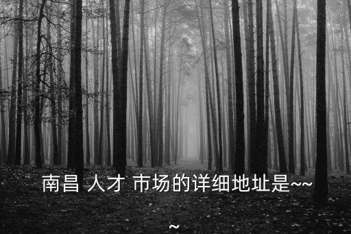 南昌人才市場,江西南昌人才市場