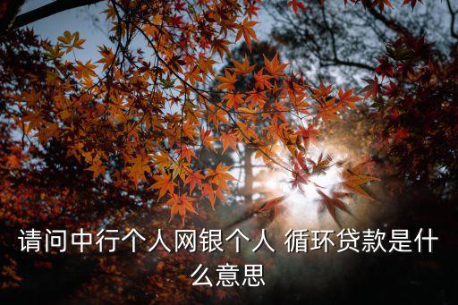 請問中行個人網(wǎng)銀個人 循環(huán)貸款是什么意思