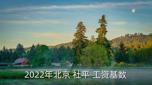 北京市社平工資,2023年北京市社平工資