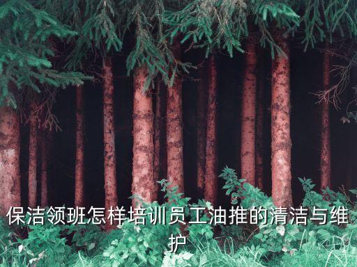 保潔領(lǐng)班怎樣培訓(xùn)員工油推的清潔與維護(hù)