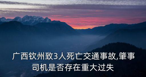  廣西欽州致3人死亡交通事故,肇事司機(jī)是否存在重大過(guò)失