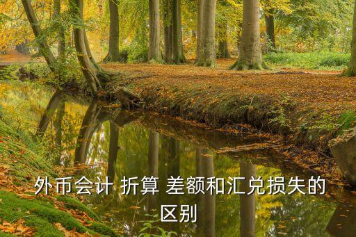 外幣報(bào)表折算差額,什么是外幣報(bào)表折算差額