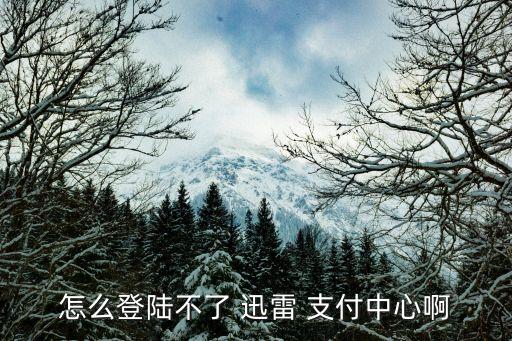 迅雷支付