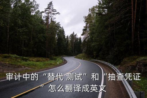 審計中的“替代 測試”和“抽查憑證”怎么翻譯成英文