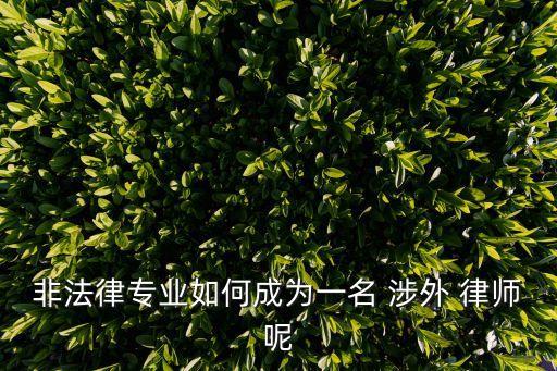涉外律師