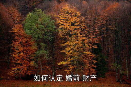什么是婚前財(cái)產(chǎn)