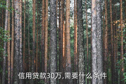 三十萬(wàn)