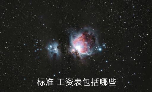 標(biāo)準(zhǔn)工資指什么,事業(yè)單位標(biāo)準(zhǔn)工資指什么