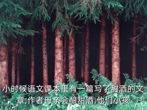 小時(shí)候語文課本里有一篇寫了甜酒的文章,作者母親會(huì)釀甜酒,他們小孩