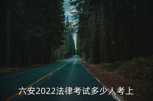 六安2022法律考試多少人考上