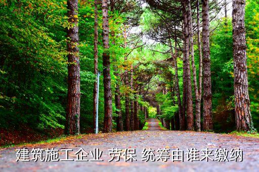 勞保統(tǒng)籌