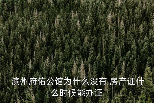  濱州府佑公館為什么沒有 房產(chǎn)證什么時(shí)候能辦證