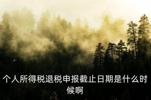 個(gè)人所得稅退稅申報(bào)截止日期是什么時(shí)候啊