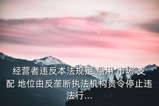 濫用市場(chǎng)支配地位