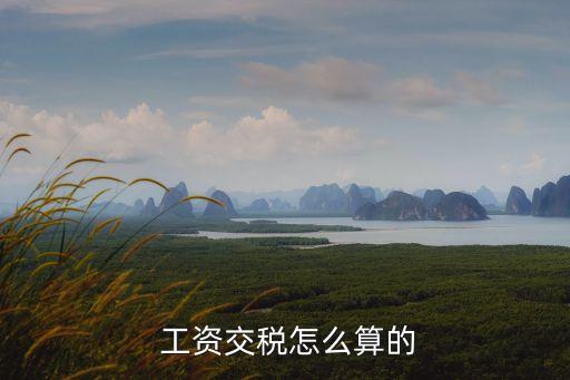 工資扣稅怎么計算,江蘇工資扣稅怎么計算