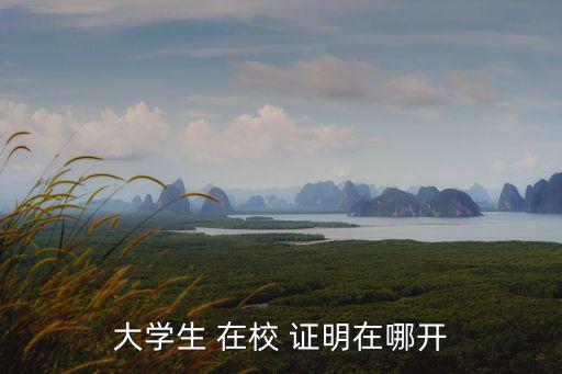 在校證明